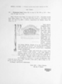 Uromyces junci image